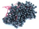 Apfel-Holunder-Gelee - Rezept