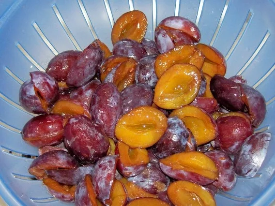 Süßspeisen: Pflaumen-Tonkabohnen-Crumble mit Orangencreme - Rezept - Bild Nr. 2