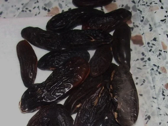 Süßspeisen: Pflaumen-Tonkabohnen-Crumble mit Orangencreme - Rezept - Bild Nr. 6