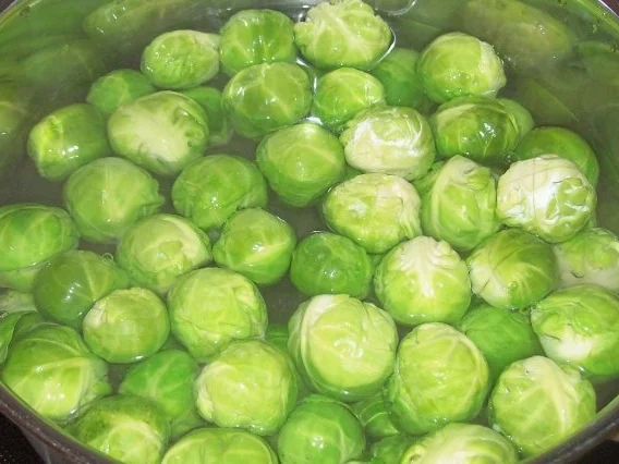 Rezept: Rosenkohl-Auflauf mit Hack-Tomaten-Soße und Schmandguss Bild Nr. 5 Rosenkohl-Auflauf mit Hack-Tomaten-Soße und Schmandguss - Rezept - Bild Nr. 5