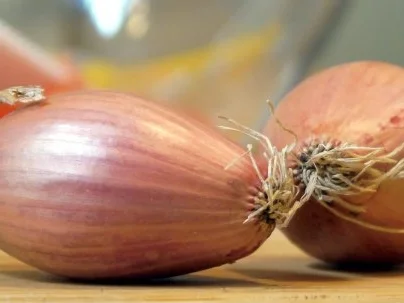 Rezept: Linsensalat Bild Nr. 6 Linsensalat - Rezept - Bild Nr. 6