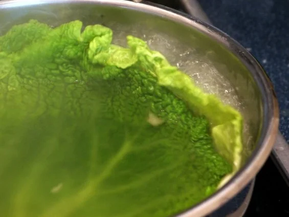 Rezept: Senfiger Hähnchen-Wirsing-Topf Bild Nr. 3 Senfiger Hähnchen-Wirsing-Topf - Rezept - Bild Nr. 3