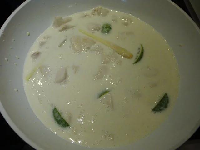 Hähnchen mit Kokos-Limetten- Ingwer- Sauce - Rezept - Bild Nr. 7