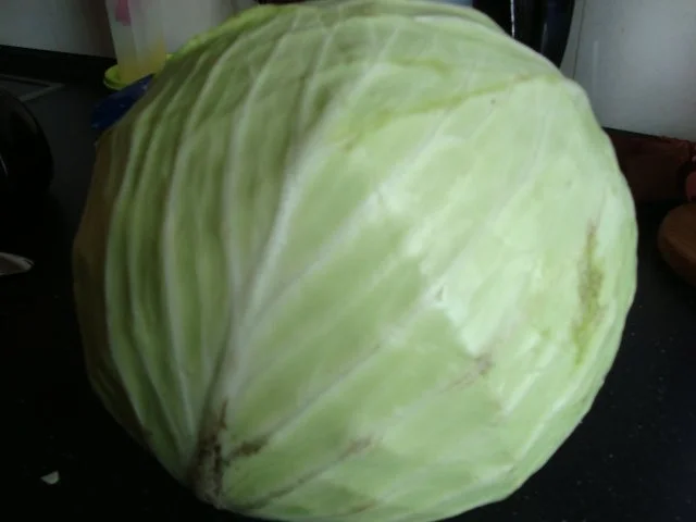 Rezept: Krautsalat nach Linus-Art Bild Nr. 2 Krautsalat nach Linus-Art - Rezept - Bild Nr. 2