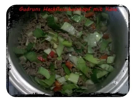 Hackfleisch: Käse-Hackfleischeintopf  â la Gudrun - Rezept - Bild Nr. 6