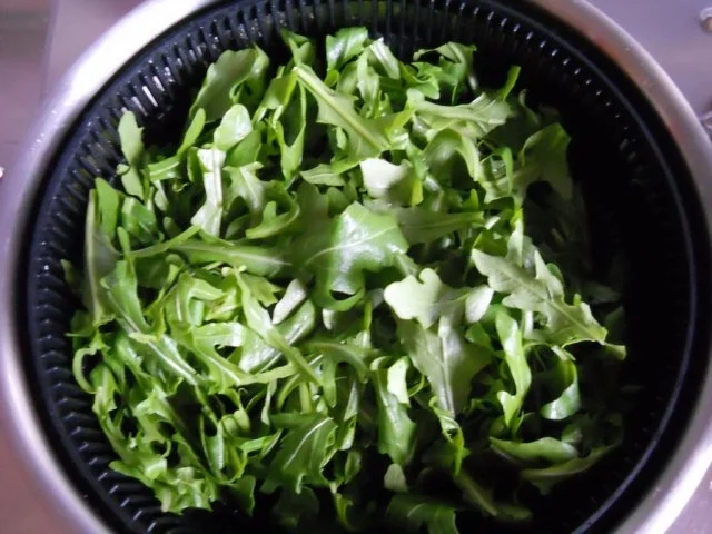 Lasagne mit Champions - Rezept - Bild Nr. 5