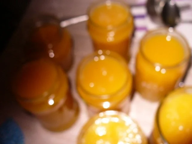 Rezept: Kürbismarmelade mit Kokos Bild Nr. 8 Kürbismarmelade mit Kokos - Rezept - Bild Nr. 8