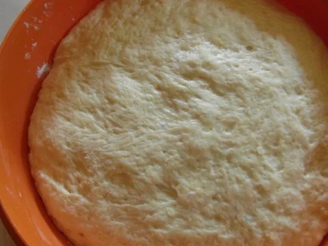 Zwetschgenknödel natürlich nach Oma`s Rezept - Rezept - Bild Nr. 4