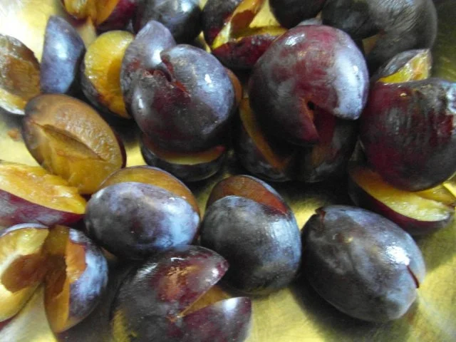 Zwetschgenknödel natürlich nach Oma`s Rezept - Rezept