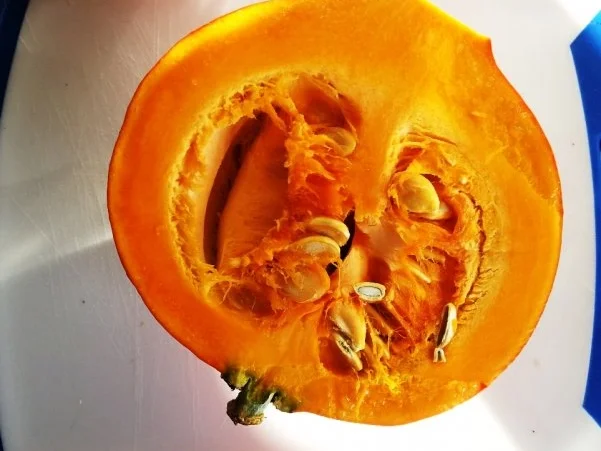 einfaches Hokkaido-Süppchen - Rezept - Bild Nr. 3