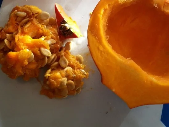 einfaches Hokkaido-Süppchen - Rezept - Bild Nr. 4