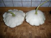 Patisson - Kürbis- Schnitzel - Rezept