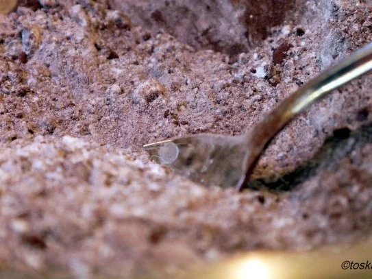 Schokoladen-Sablès - Rezept - Bild Nr. 3