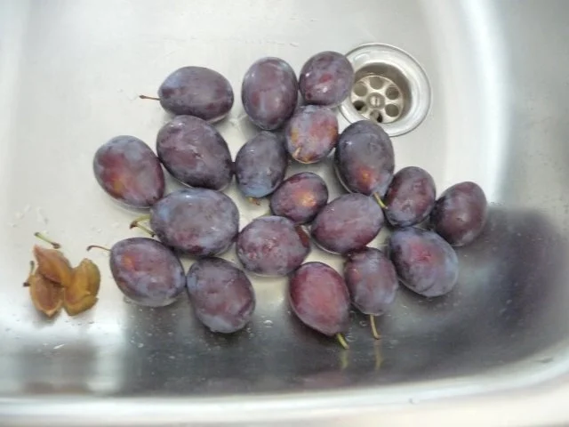 Dessert : Fifty Fifty +++ Pflaumen / Apfel - Crumbel mit Vanilleeis - Rezept - Bild Nr. 2