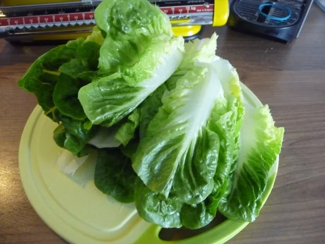 Rezept: Geflügel : Entenbrust an gebutterten Spaghetti Bild Nr. 8 Geflügel : Entenbrust an gebutterten Spaghetti - Rezept - Bild Nr. 8