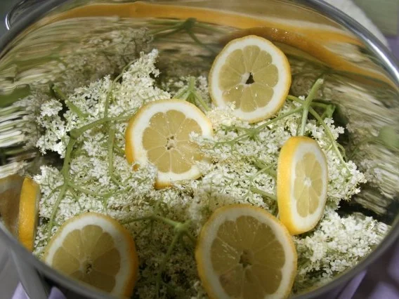 Holunderblütensirup mit Grapefruit - Rezept - Bild Nr. 3