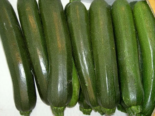 Steinpilze mit Maccheroni und Zucchini - Rezept - Bild Nr. 2