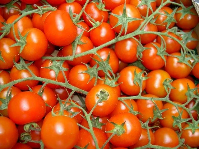 Steinpilze mit Maccheroni und Zucchini - Rezept - Bild Nr. 3