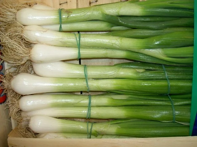 Steinpilze mit Maccheroni und Zucchini - Rezept - Bild Nr. 5