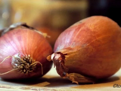 Rezept: Schupfnudeln mit Rindergeschnetzeltem Bild Nr. 7 Schupfnudeln mit Rindergeschnetzeltem - Rezept - Bild Nr. 7