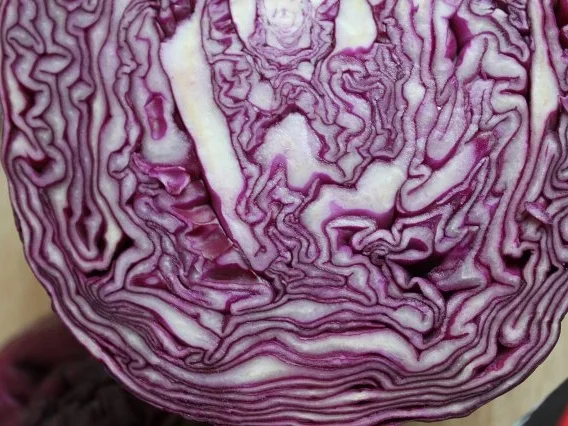 Rotkraut - Rezept - Bild Nr. 2