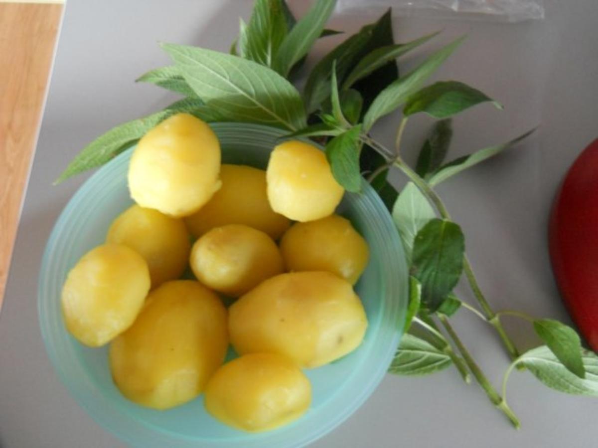 Kartoffelgratin mit Ananas-Salbei - Rezept - Bild Nr. 3