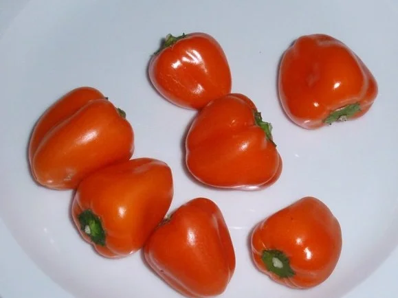 Bunter Reistopf - Rezept - Bild Nr. 4