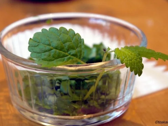 Rezept: Zucchini-Risotto Bild Nr. 7 Zucchini-Risotto - Rezept - Bild Nr. 7