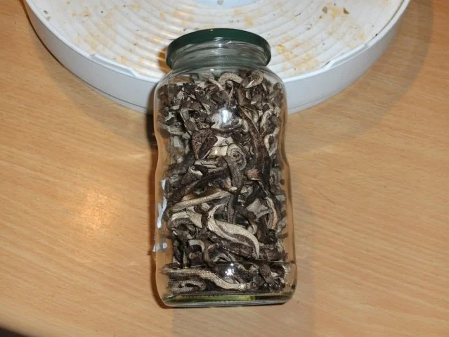 Pilze: Der Habichtspilz - Rezept - Bild Nr. 5