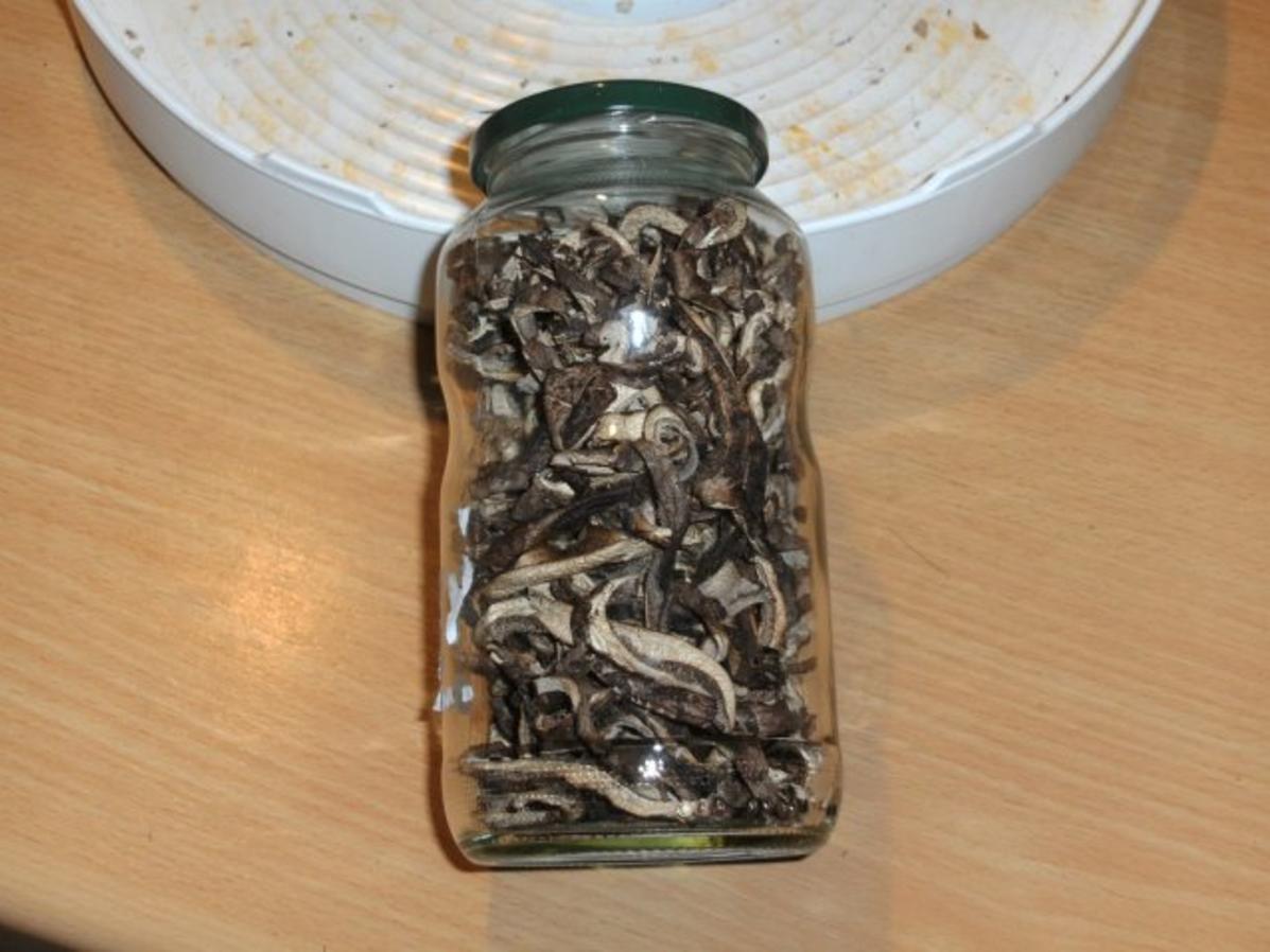 Pilze: Der Habichtspilz - einfach - von goach Pilze: Der Habichtspilz - einfach - von goach