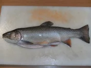 Fisch: Saibling, gebeizt - Rezept