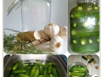 Rezept: Salz-Dill-Gurken selbst eingelegt Bild Nr. 5 Salz-Dill-Gurken selbst eingelegt - Rezept - Bild Nr. 5