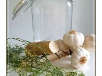 Rezept: Salz-Dill-Gurken selbst eingelegt Bild Nr. 4 Salz-Dill-Gurken selbst eingelegt - Rezept - Bild Nr. 4