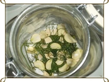 Rezept: Salz-Dill-Gurken selbst eingelegt Bild Nr. 6 Salz-Dill-Gurken selbst eingelegt - Rezept - Bild Nr. 6