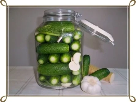 Rezept: Salz-Dill-Gurken selbst eingelegt Bild Nr. 8 Salz-Dill-Gurken selbst eingelegt - Rezept - Bild Nr. 8