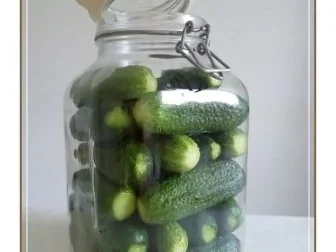 Rezept: Salz-Dill-Gurken selbst eingelegt Bild Nr. 9 Salz-Dill-Gurken selbst eingelegt - Rezept - Bild Nr. 9