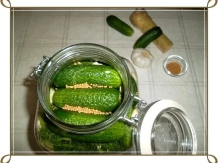 Rezept: Salz-Dill-Gurken selbst eingelegt Bild Nr. 10 Salz-Dill-Gurken selbst eingelegt - Rezept - Bild Nr. 10