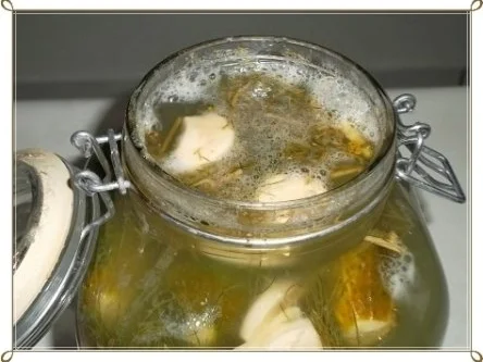 Rezept: Salz-Dill-Gurken selbst eingelegt Bild Nr. 13 Salz-Dill-Gurken selbst eingelegt - Rezept - Bild Nr. 13