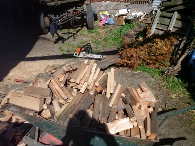 Rezept: Eisbein Bild Nr. 2 Eisbein - Rezept - Bild Nr. 2