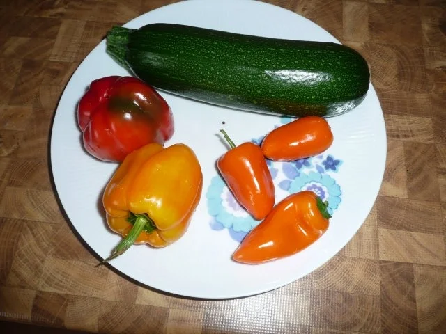 Trennkost : Spieße ! - Rezept