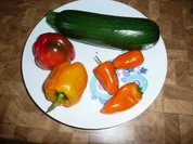 Trennkost : Spieße ! - Rezept