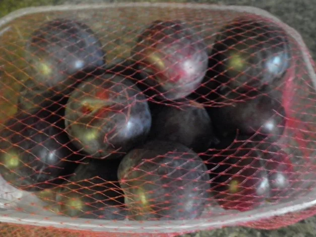 Pflaumen - Zimtstreusel - Kuchen ... - Rezept - Bild Nr. 3