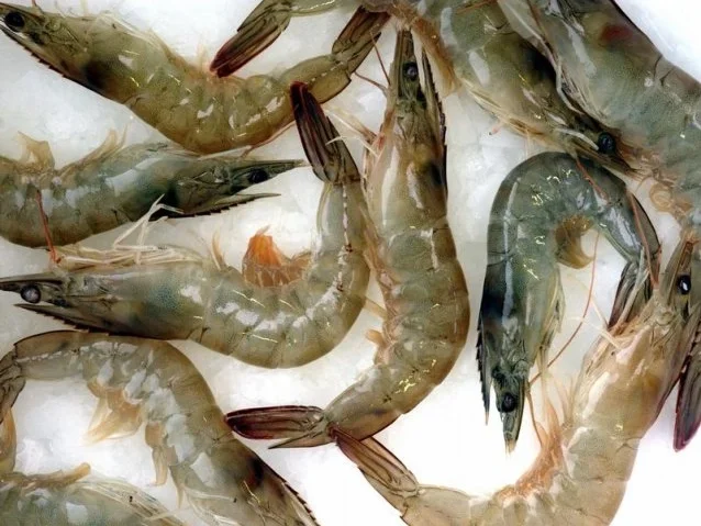 Garnelenpfanne mediterran - Rezept