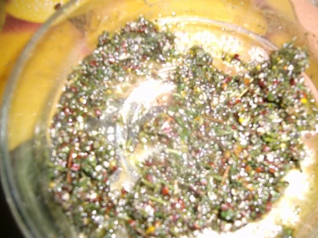 Rezept: Lachsbraten mit Kräuterkruste Bild Nr. 8 Lachsbraten mit Kräuterkruste - Rezept - Bild Nr. 8