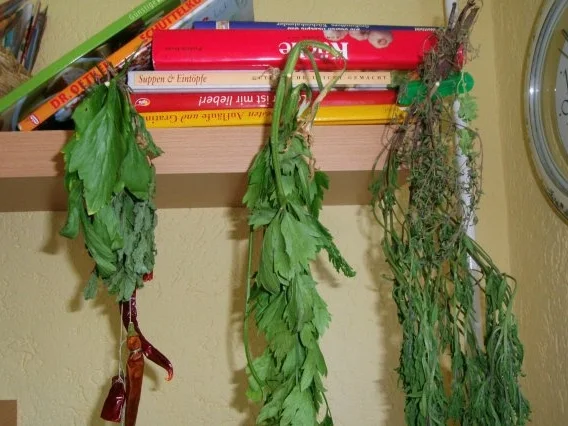 Rezept: Lachsbraten mit Kräuterkruste Bild Nr. 4 Lachsbraten mit Kräuterkruste - Rezept - Bild Nr. 4