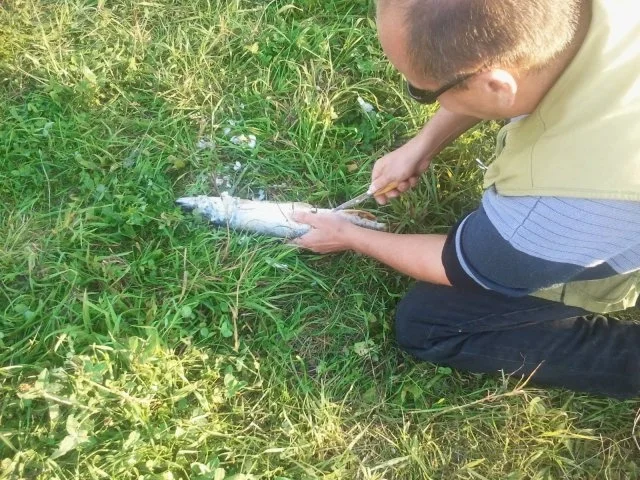 EIN TOLLER HECHT --oder-- die echte Freunde-Pfanne - Rezept - Bild Nr. 4