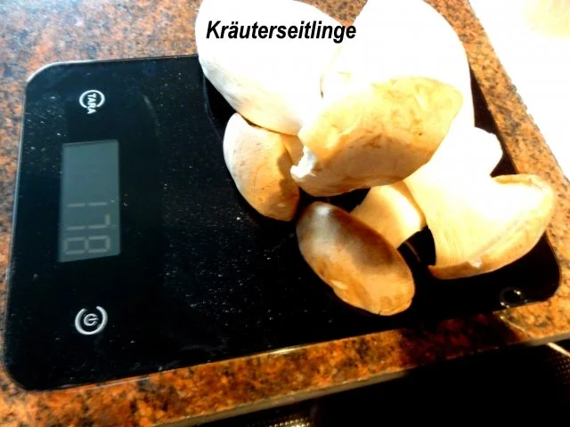 Rezept: Fisch: SEELACHS mit Seitling-Käse-Kruste Bild Nr. 4 Fisch: SEELACHS mit Seitling-Käse-Kruste - Rezept - Bild Nr. 4