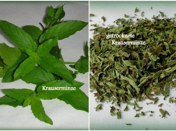 Rezept: Bulgarische Kürbissuppe Bild Nr. 7 Bulgarische Kürbissuppe - Rezept - Bild Nr. 7