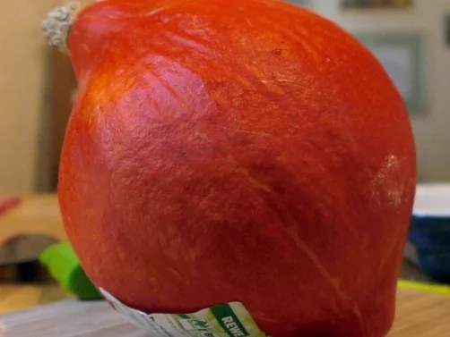 Kürbis-Hähnchen-Pfanne - Rezept - Bild Nr. 2