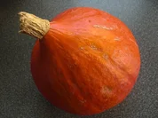 Hokkaido- Kürbis- Suppe mit Karottenwürfel - Rezept